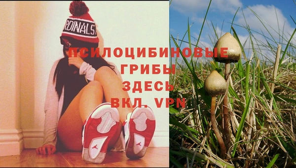 бошки Вязьма