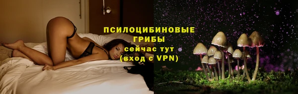 бошки Вязьма
