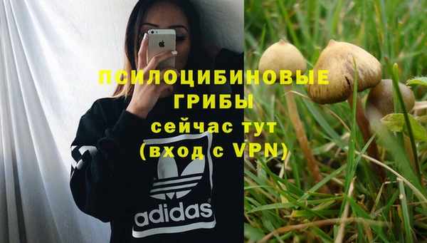 бошки Вязьма