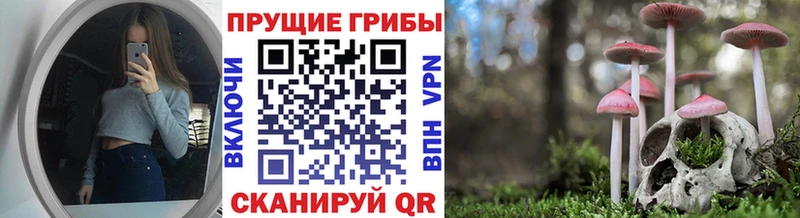 Псилоцибиновые грибы Cubensis  Купить где  Нелидово 