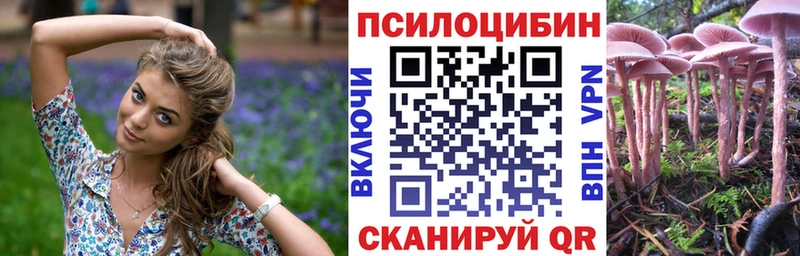 Галлюциногенные грибы Psilocybe Нелидово